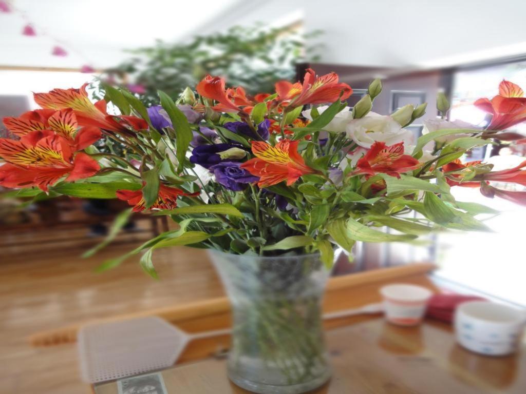 Dali Four Season Flower Inn Dali (Yunnan) Dış mekan fotoğraf